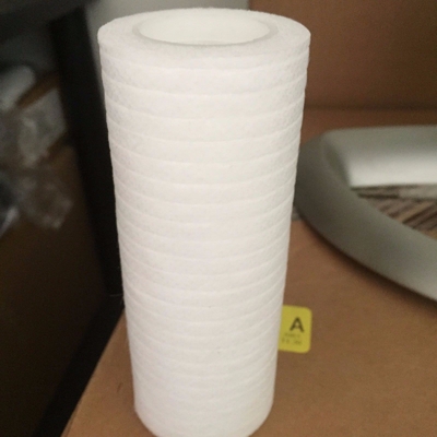 Çin H029068 00 Noritsu QSS Minilab Serisi yedek parça kimyasal filtre Tedarikçi