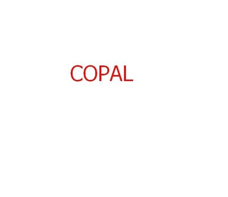 Çin Copal 6030/6550 minilab 140x22x35mm için kimyasal filtre Tedarikçi