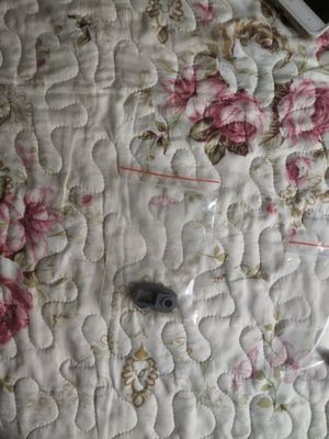 A032742-01 A032742 A229355 A236108 Noritsu QSS 27/29/30/31/32/33/35/37 Minilabs için Basınçlı Burç Tedarikçi