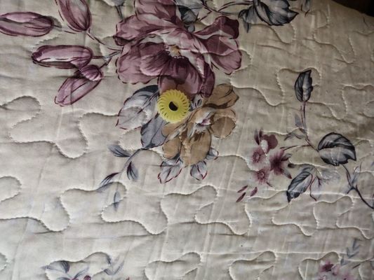 A058613 01 ÇIKARMA SİLİNDİRİ O KESME DİŞLERİ 24 NORITSU Qss2901 3101 3201 3300 3401,3701 Minilab Tedarikçi