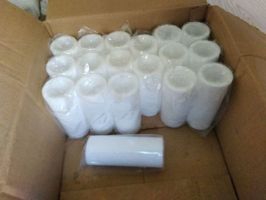 H153265 H153265 00 Noritsu LPS 24 Pro Dijital Minilab Yedekleri İçin Kimyasal Filtre Tedarikçi